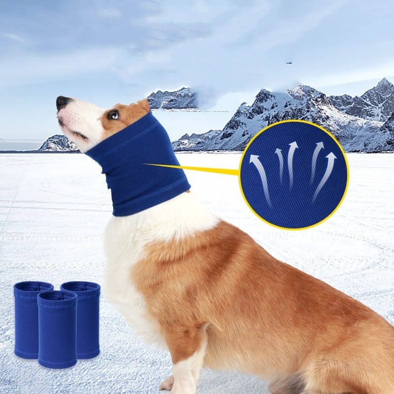 Dog Headband Scarf
