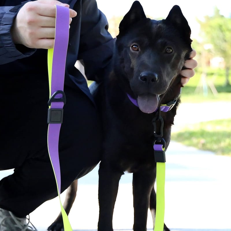 Honeycomb Embossed Dual-Color Dog Leash Set