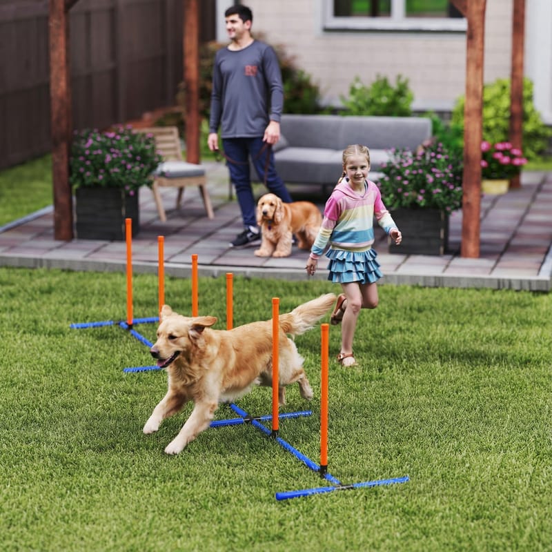 Dog Agility Course Set with Adjustable Poles and Carry Bag