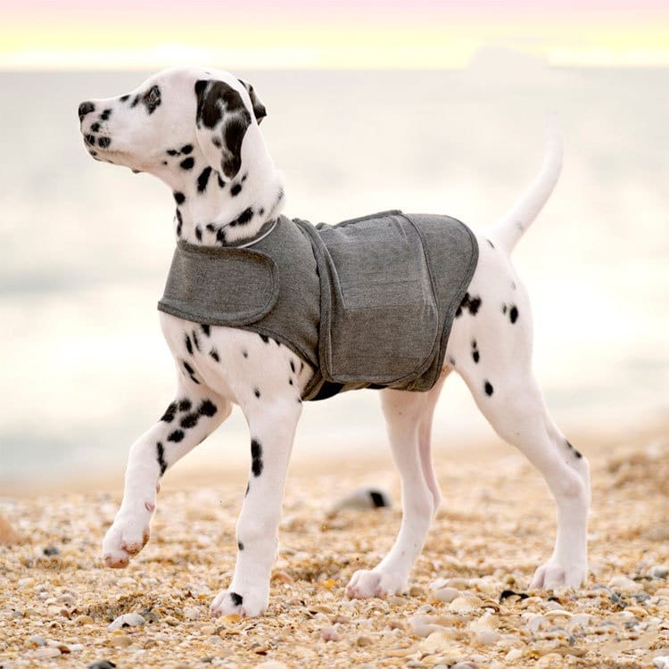 Warm Dog Vest Jacket