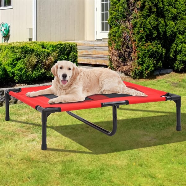 Elevated Dog Bed with Steel Frame