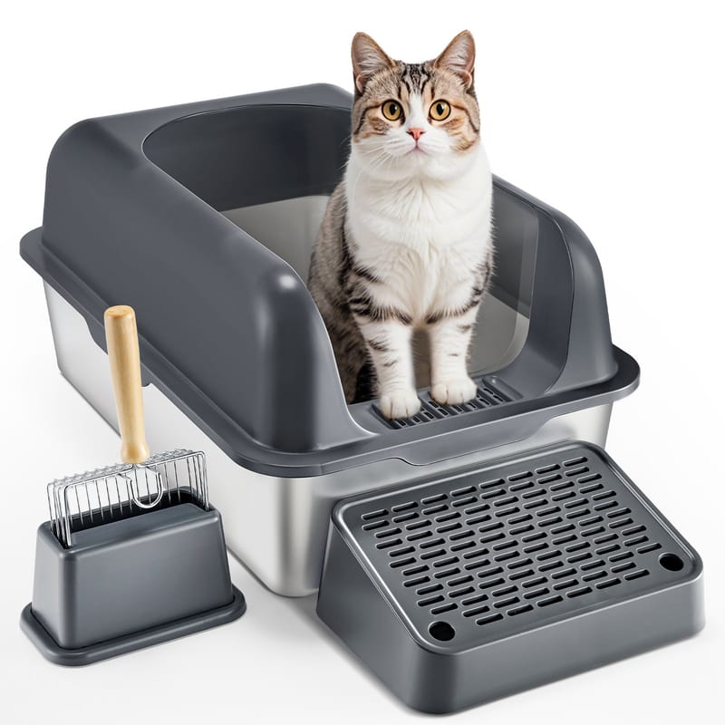 6" Deep Cat Litter Box with Filtering Foot Board